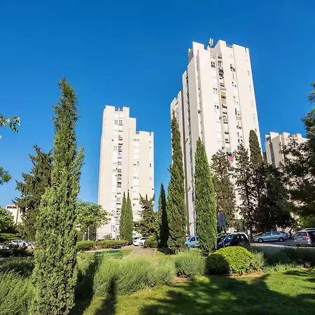 Tatjana Daire Split